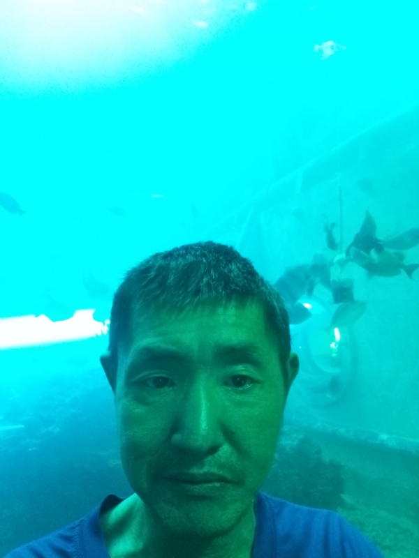 陸戰隊的第一张照片--平潭相亲服务中心