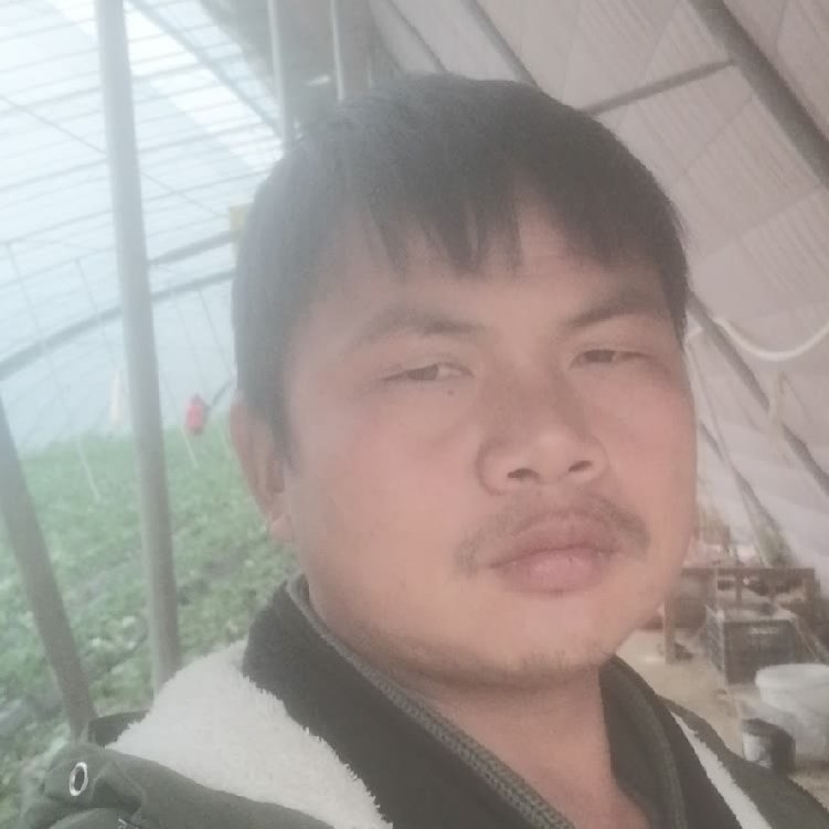 孤狼‘的第一张照片--平潭相亲服务中心