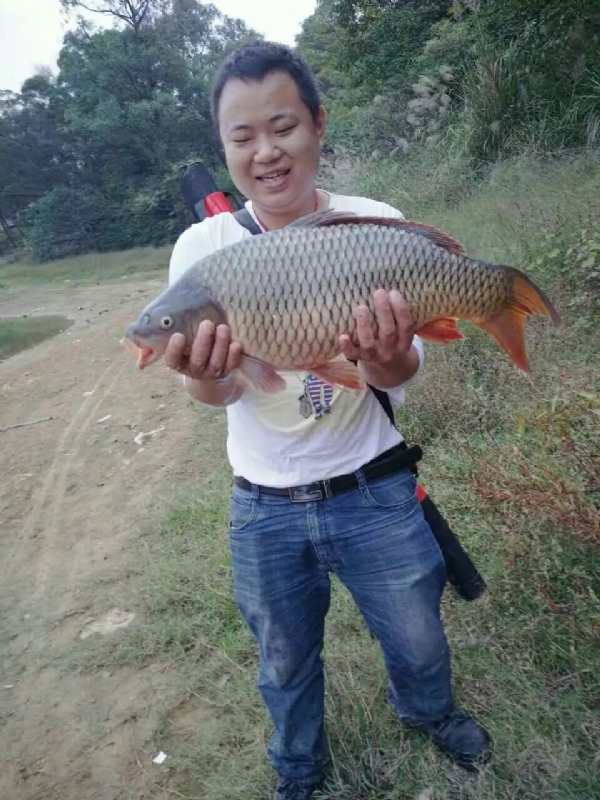 迷路的男人的第一张照片--平潭相亲服务中心